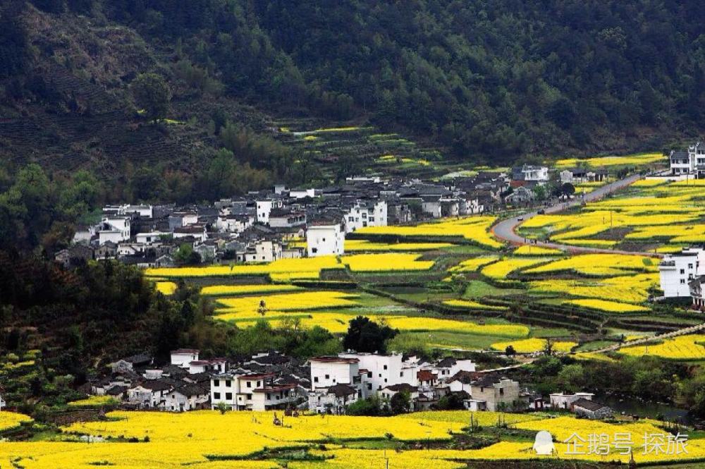 江西巷弄里的文艺秘境,探访一家隐藏的小店