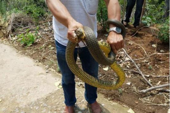 河南,历史长河中的文化画卷