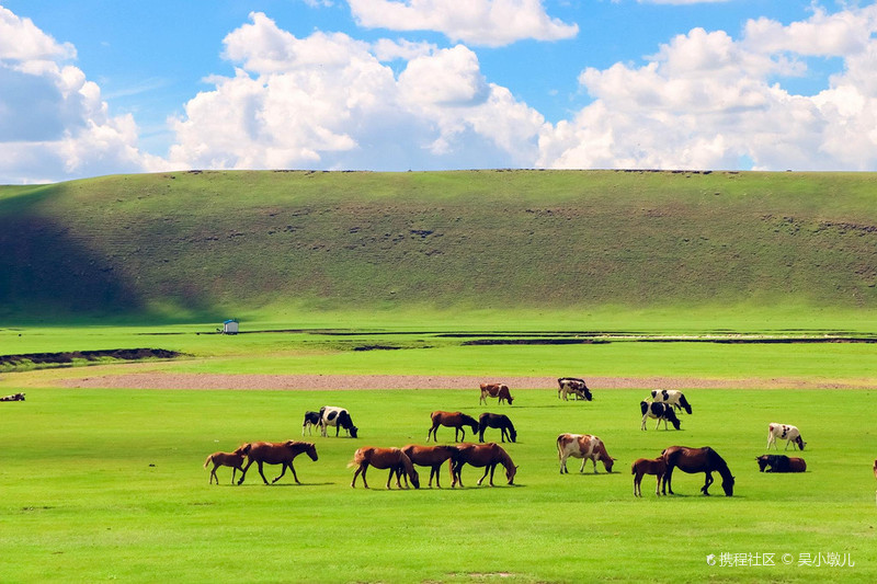 呼伦贝尔草原的深情眷恋