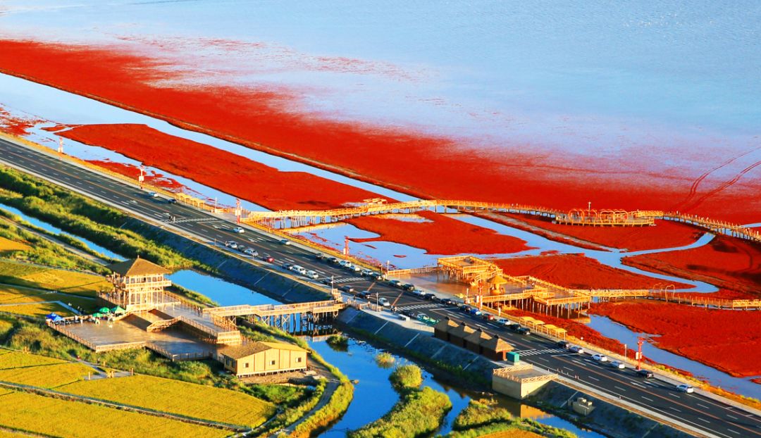 盘锦，独特美丽的城市风采✨