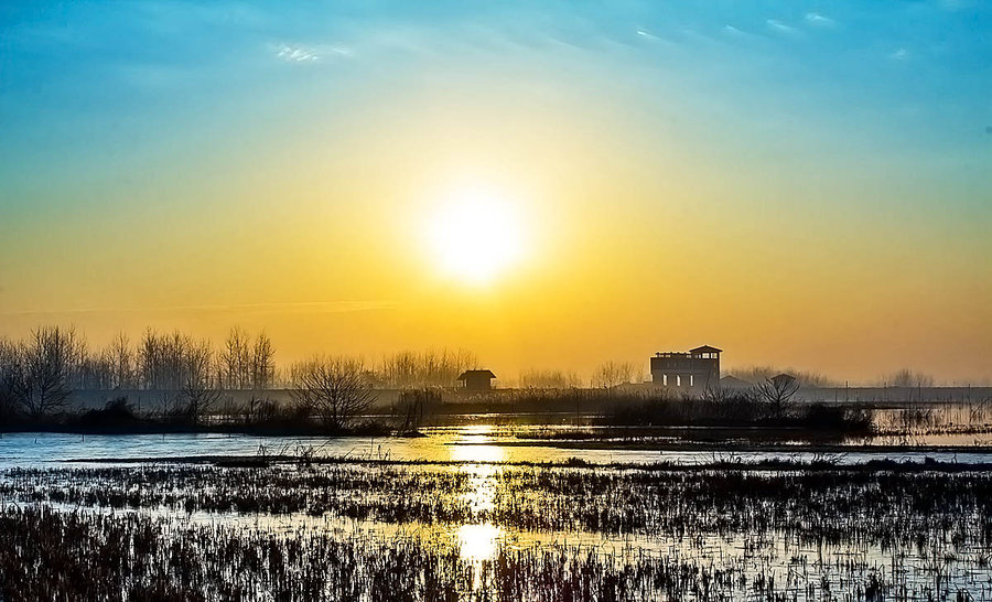 朝阳，无尽活力与生机四溢的朝阳之城