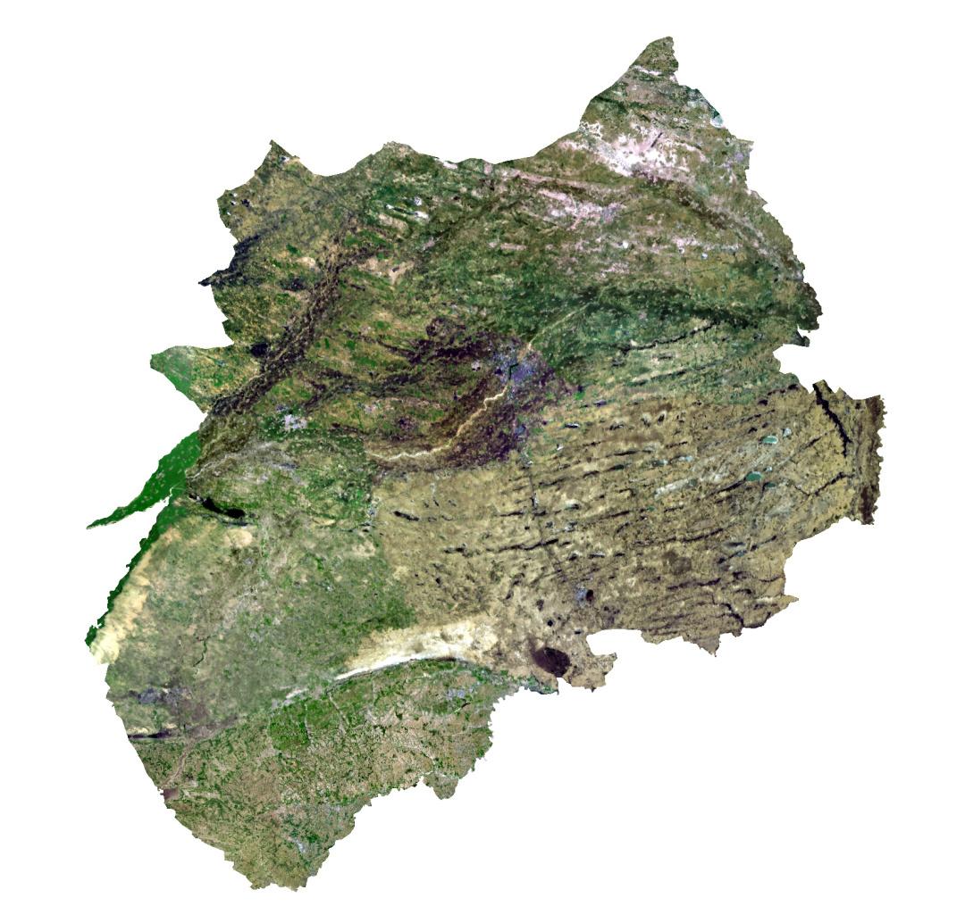 东北绿色明珠，通辽的绿色崛起之路